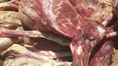 حجز مدير مصنع لحيازته 1.5 طن بسطرمة فاسدة في السلام