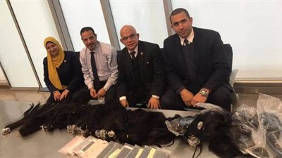 إحباط تهريب شعر مستعار وأجهزة هواتف محمولة بمطار القاهرة