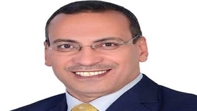 اتحاد المصريين في الخارج: الجالية المصرية في الصين بخير