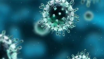 إليزابيث عبد المسيح تطالب بتشديد إجراءات التفتيش بالمطارات لمنع دخول فيروس كورونا