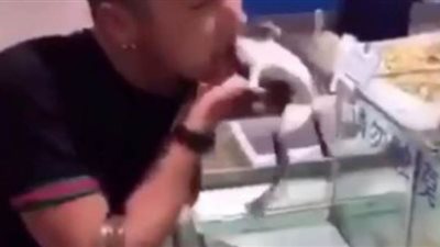 رجل يتناول ضفادع حية في إحدى الأسواق الصينية | فيديو