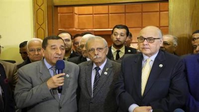 نبيل عزمي وجيهان مديح أحدث التعيينات كنواب لرئيس حزب الغد