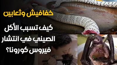 خفافيش وثعابين.. كيف تسبب الأكل الصيني في انتشار فيروس كورونا؟| فيديو جراف