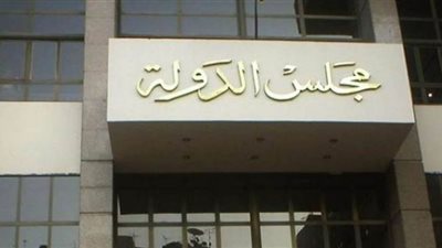 ٢٢ مارس.. الحكم في دعوى إلزام التضامن بالتأمين على المحامين وأصحاب المهن الحرة