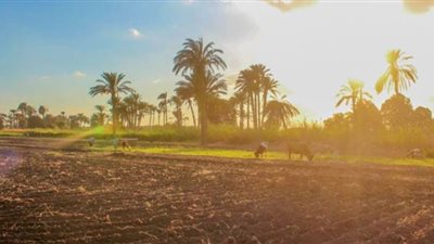 تعرف على حالة الطقس اليوم الأربعاء 29/ 1/ 2020 | فيديو