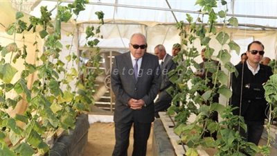 محافظ قنا يتفقد عددا من المشروعات بتكلفة 120مليون جنيه| صور