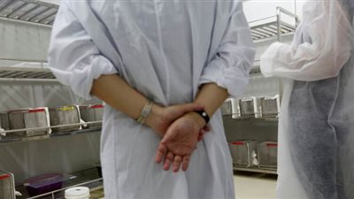 ألمانيا تعلن ارتفاع الإصابات بفيروس 