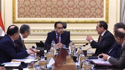 مدبولي يتابع فض التشابكات المالية بين الكهرباء والبترول والمالية وقطاع الأعمال العام