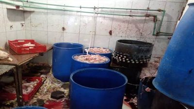 مصادرة 3.5 طن دواجن غير صالحة للاستهلاك بمصنع في القليوبية