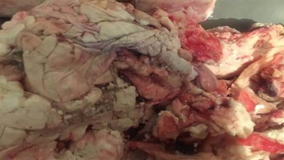ضبط 2 طن دهون حيوانية غير صالحة للاستهلاك الآدمي داخل ثلاجة بالبحيرة