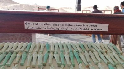 تفاصيل الكشف الأثري الجديد في تونا الجبل بالمنيا | فيديو وصور