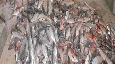 مصادرة 78 طن أسماك فاسدة و118 طن دقيق قبل بيعها بالأسواق