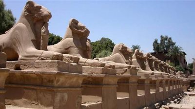 اليوم .. نظر دعوى وقف قرار نقل تماثيل الكباش من الأقصر إلى القاهرة