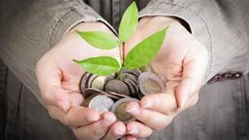 حكم إخراج زكاة الزروع