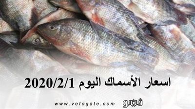 اسعار الأسماك اليوم 2020/2/1