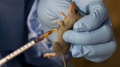 بعد  كورونا .. فيروس 