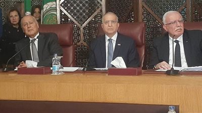 أبو الغيط: قرار الجامعة العربية بشأن صفقة القرن سلاح لفلسطين أمام العالم