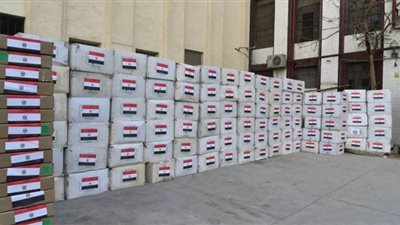 الصحة: 10 أطنان من المستلزمات الوقائية..هدية مصر للشعب الصيني