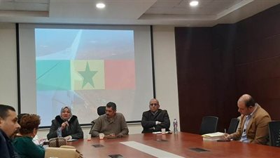 إيناس سليم: المرأة لها دور هام في عملية إسكات البنادق بأفريقيا