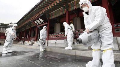 حقيقة وجود تطعيم أو أعشاب للشفاء من فيروس كورونا | فيديو