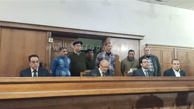 المشدد 6 سنوات للجدة المتهمة في واقعة تعذيب حفيدتها ووفاتها بالدقهلية