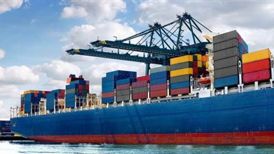 شعبة المستوردين: فيروس كورونا لن يؤثر على الواردات بين مصر والصين | فيديو