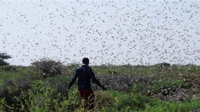 الصومال تعلن حالة 