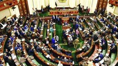 طلب مناقشة بالبرلمان حول الإستراتيجية القومية للسكان 