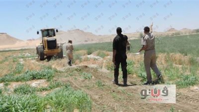 الوادي الجديد: استرداد 35 فدانا من أراضي الدولة