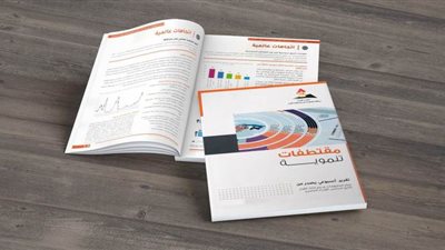 أبرز أرقام تقرير مجلس الوزراء 