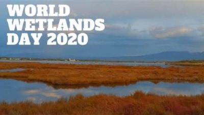 مصر تشارك العالم الاحتفال باليوم العالمي للأراضي الرطبة
