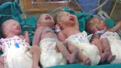 نائبة: مقترح الحوافز للأسرة المكونة من 4 أفراد فقط غير دستوري