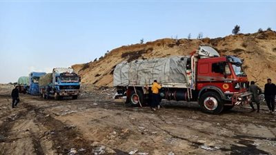 إعدام 146 طن أغذية فاسدة بالشرقية (صور)