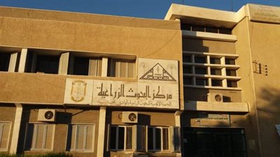 محافظ الوادي الجديد: سحب 90 فدانا مملوكة للبحوث الزراعية بمدينة الخارجة