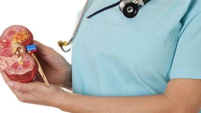 كل ما تريد معرفته عن حصوات الكلى .. الأسباب والأعراض والعلاج