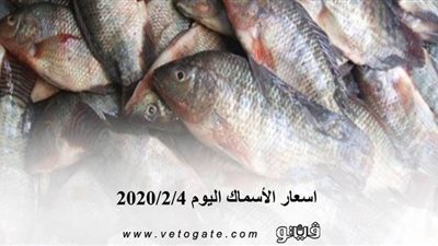 اسعار الأسماك اليوم 2020/2/4