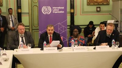 منسق الأمم المتحدة: مصر حققت تقدما في التنمية المستدامة وتتغير للأفضل