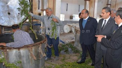 محافظ الغربية يتفقد معقل إنتاج العطور بقطور | صور