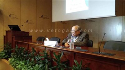 مدير مكتبة الإسكندرية: شيخ الأزهر كان منفعلا في رده على الخشت