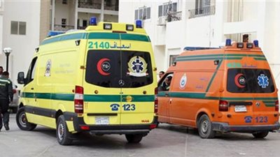 العثور على ٥ جثامين لأسرة واحدة بالبحيرة