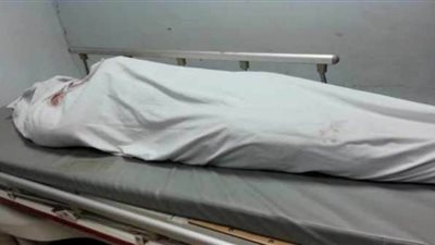 حبس متهم وزوجته بتهمة قتل شقيقه في الشرقية