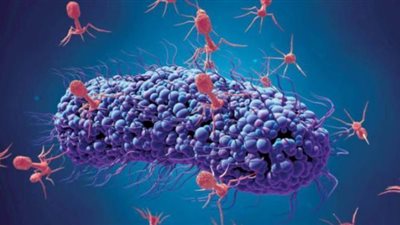 الحروب البيولوجية.. ٥ فيروسات وبكتيريا قاتلة تم تخليقها في المعامل والمختبرات