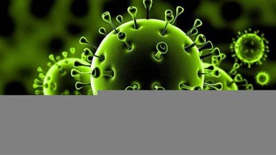 ارتفاع وفيات كورونا إلى 565 شخصا وإصابة 28 ألفا و276 في 28 دولة