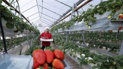 حظر إدخال المنتجات الإسرائيلية لفلسطين يدخل حيز التنفيذ