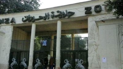حركة تطوير في حديقة حيوان الجيزة .. وافتتاح حديقة للطفل قريبا