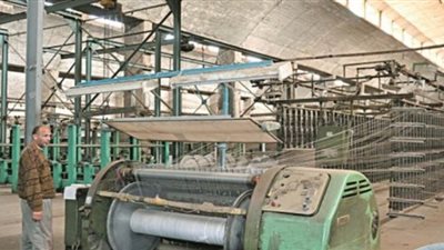 خبير اقتصادى: تشغيل المصانع المتعثرة يقلل البطالة ويزيد الطاقة الإنتاجية