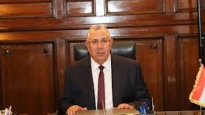 مصر تختطف صدارة إنتاج زيتون المائدة في العالم من إسبانيا