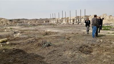 إزالة خمسة آلاف متر حشائش بمنطقة أبو مينا الأثرية في الإسكندرية