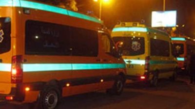 مصرع شخصين وإصابة 5 آخرين في حادثين منفصلين بالبحيرة