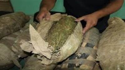 ضبط 5.5 كيلو حشيش وإستروكس بحوزة 133 متهمًا بالمحافظات